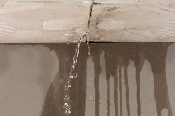 Professional Water Extraction technician working in West Columbia, TX